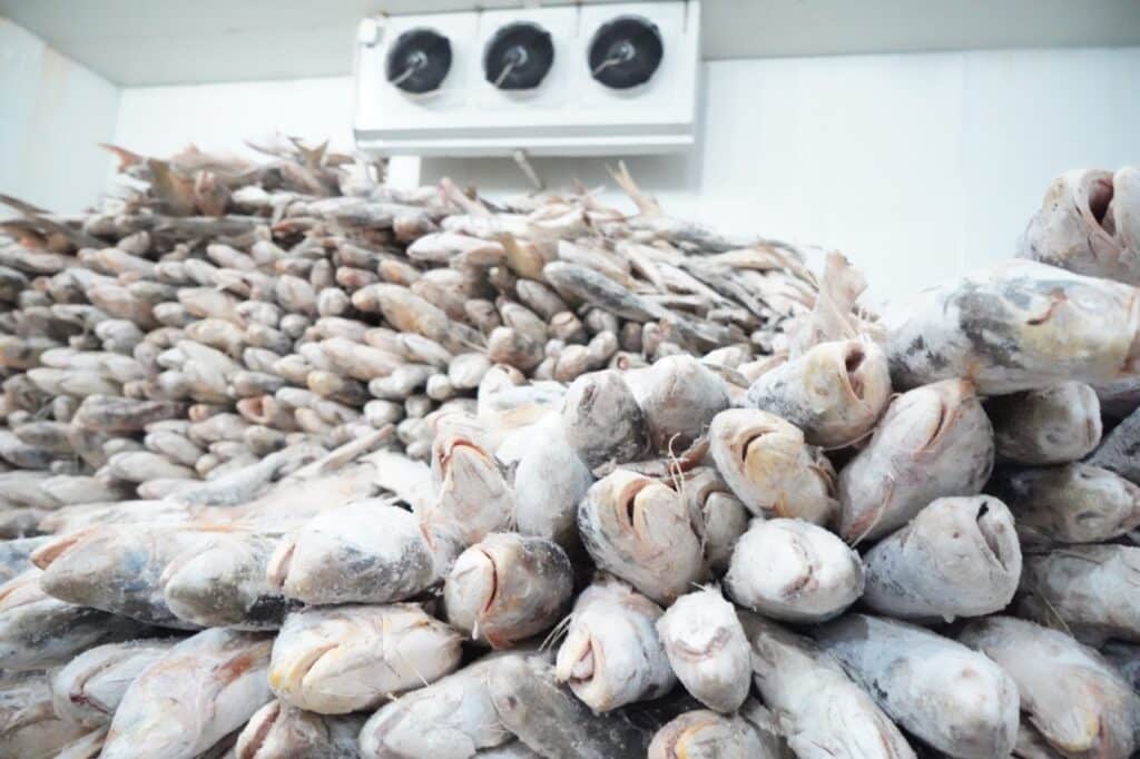 Seafood Cold Storage