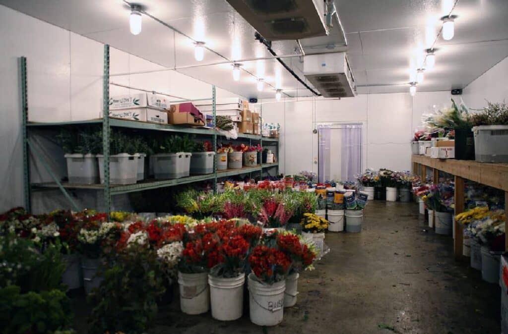 https://www.donganbuilding.com/cold-storage-warehouse/