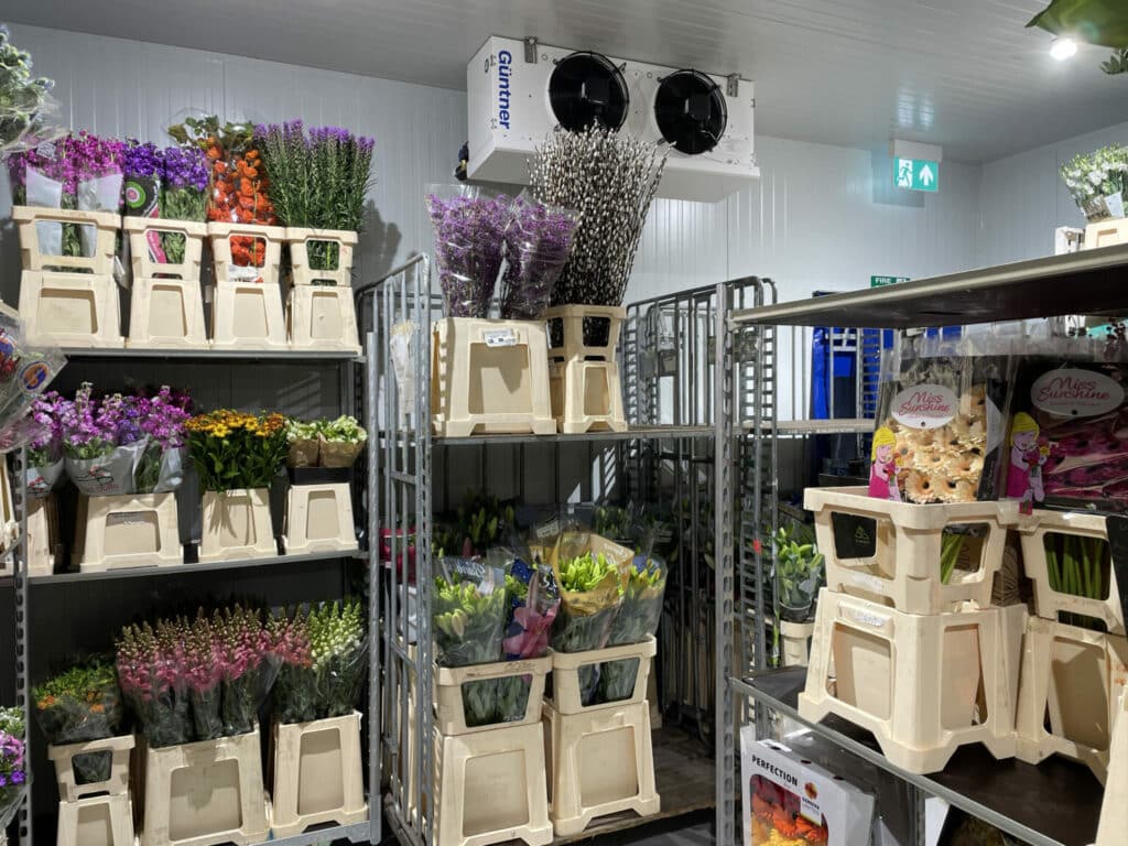 Flower Cold Storage