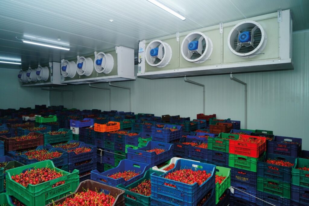 Fruit cold rooms